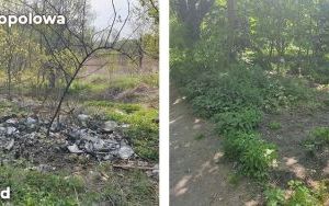 Trwa likwidacja kolejnych dzikich wysypisk w Bytomiu (12)
