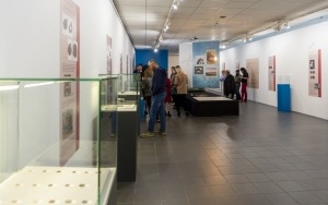 Unikatowa wystawa w Muzeum Górnośląskim. Co archeolodzy odkryli w rejonie kościoła św. Ducha? (9)