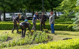 Nowe nasadzenia  na placach i skwerach  (11)
