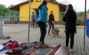Spracowali z psami (2)