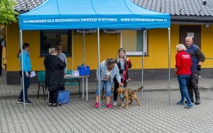 Spracowali z psami (5)