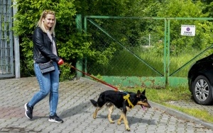 Spracowali z psami (9)