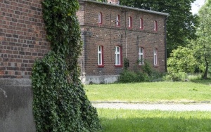 Kolonia Zgorzelec w trakcie rewitalizacji  (7)