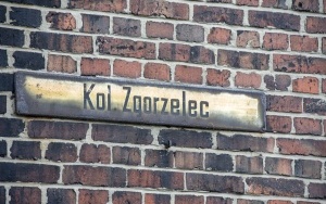 Kolonia Zgorzelec w trakcie rewitalizacji  (8)