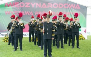 Wystawa psów rasowych (3)