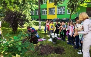 Dzięki inicjatywie rodziców i uczniów z Ukrainy, którzy od marca uczą się w oddziałach przygotowawczych, przed szkołą pojawiły się nowe barwne rododendrony (1)