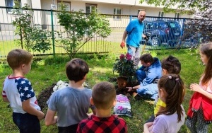 Dzięki inicjatywie rodziców i uczniów z Ukrainy, którzy od marca uczą się w oddziałach przygotowawczych, przed szkołą pojawiły się nowe barwne rododendrony (2)