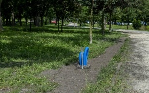 W Parku Kachla przy Stawie Północnym powstaną 42 nowe latarnie (1)
