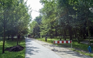 W Parku Kachla przy Stawie Północnym powstaną 42 nowe latarnie (2)