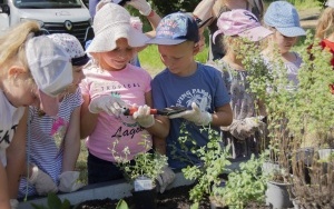 Sadzenie roślin i wysiewanie łąki kwietnej w Parku Amendy (8)