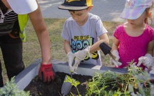 Sadzenie roślin i wysiewanie łąki kwietnej w Parku Amendy (9)