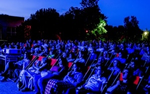Kino plenerowe w Miechowicach (1)
