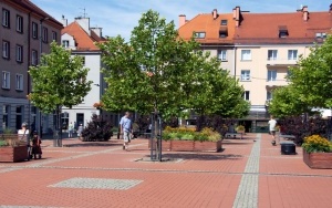 Nowe nasadzenia na Rynku (1)