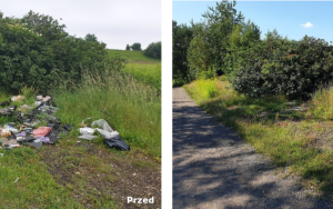 Kolejne dzikie wysypiska zlikwidowane (3)