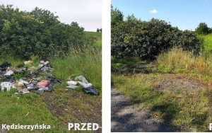 Kolejne dzikie wysypiska zlikwidowane (1)