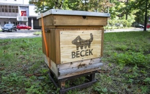 Becekobus wyruszył na Ekoprzygodę (4)