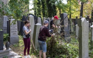 Sprzątali cmentarz (7)