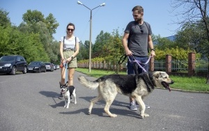 Rodzinny Spacer z psem (11)