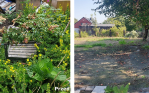 Kolejne dzikie wysypiska w Bytomiu zlikwidowane (6)
