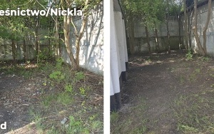 Kolejne dzikie wysypiska w Bytomiu zlikwidowane (10)