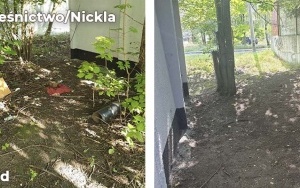Kolejne dzikie wysypiska w Bytomiu zlikwidowane (11)