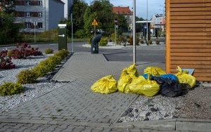 Akcja McDonald's EcoHeroes  (6)