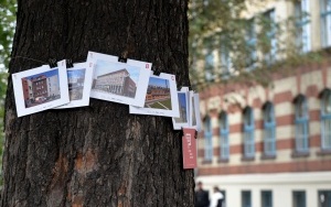 Podczas gry dowiedzieli się jak działa miasto (20)