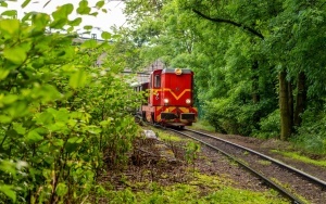 Powitanie jesieni z Górnośląskimi Kolejami Wąskotorowymi (6)