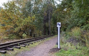 Pasażerowie wąskotorówki przeszli odprawę paszportową. To kolejna atrakcja przygotowana przez SGKW (1)