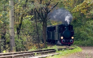 Pasażerowie wąskotorówki przeszli odprawę paszportową. To kolejna atrakcja przygotowana przez SGKW (4)