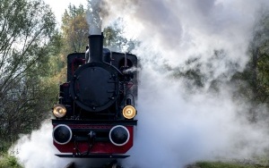 Pasażerowie wąskotorówki przeszli odprawę paszportową. To kolejna atrakcja przygotowana przez SGKW (14)