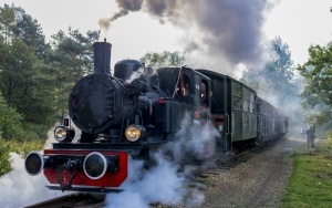 Pasażerowie wąskotorówki przeszli odprawę paszportową. To kolejna atrakcja przygotowana przez SGKW (15)