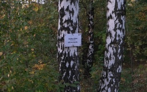Sucha Góra wzbogaci się o kolejną atrakcję turystyczną. Na terenie Suchogórskiego Labiryntu Skalnego powstanie wieża triangulacyjny (1)