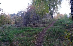 Sucha Góra wzbogaci się o kolejną atrakcję turystyczną. Na terenie Suchogórskiego Labiryntu Skalnego powstanie wieża triangulacyjny (4)