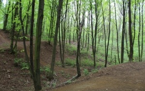 Sucha Góra wzbogaci się o kolejną atrakcję turystyczną. Na terenie Suchogórskiego Labiryntu Skalnego powstanie wieża triangulacyjny (7)