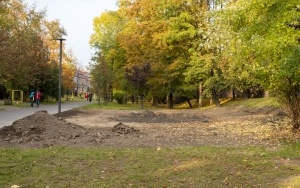 Inwestycje w Alei Marka  (1)