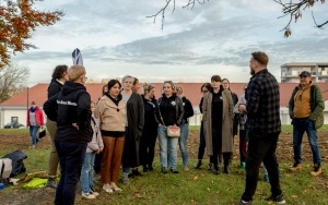 Wysiew łąki przy ul. Długiej w Stroszku  (1)