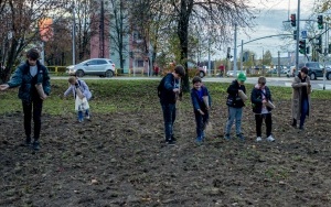 Wysiew łąki przy ul. Długiej w Stroszku  (15)