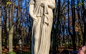 Aleja Muz odnowiona  (5)