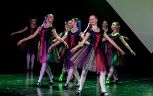 Medale Miasta Bytomia wręczone (16)