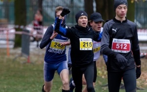 Mistrzostwa w Biegach Przełajowych (17)