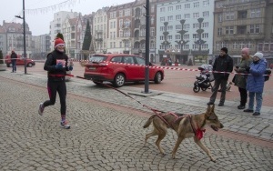 Mikołaje na start  (9)