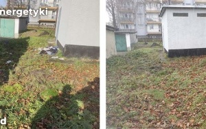 Zlikwidowaliśmy kolejne dzikie wysypiska  (1)