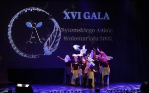 Anna Dziąsko i Fundacja Petralana laureatami Anioła Wolontariatu  (4)