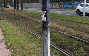 Wymiana słupów oświetlenia drogowego i parkowego  (3)
