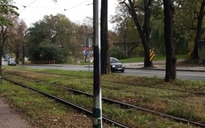 Wymiana słupów oświetlenia drogowego i parkowego  (1)