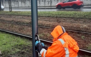 Wymiana słupów oświetlenia drogowego i parkowego  (2)