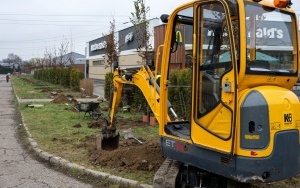 Nowe nasadzenia drzew i krzewów (1)