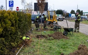 Nowe nasadzenia drzew i krzewów (5)