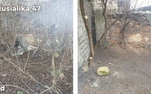 Zlikwidowaliśmy kolejne dzikie wysypiska (4)